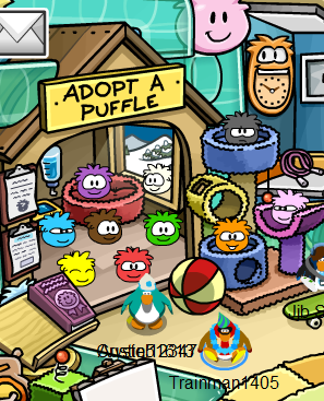 Club Penguin 2011 New Puffle Adoption Quiz Club Penguin Memories