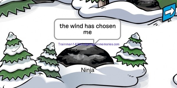 ninja-1364853923